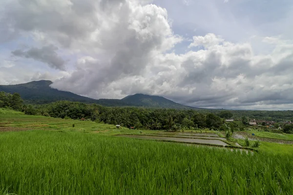 Jatiluwihとバトゥカル バリ山の風景 日の出になると田んぼと軍雲バトゥカル 朝の棚田で 富士山 バトゥカルはバリ島で2番目に高い山で 休火山です — ストック写真