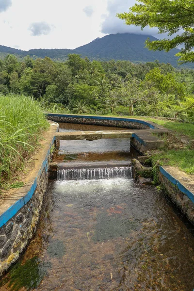 Зелені Балійські Рисові Поля Іригація Називається Субак Традиційний Спосіб Доставки — стокове фото