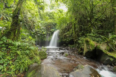 Yeh Ho Şelalesi, Tabanan 'daki pirinç tarlası yüklü Penebel köyünde yer almaktadır. Jatiluwih, Bali, Endonezya 'daki ormandaki güzel şelale deresi.