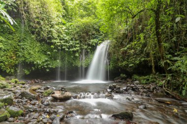 Yeh Ho Şelalesi, Tabanan 'daki pirinç tarlası yüklü Penebel köyünde yer almaktadır. Jatiluwih, Bali, Endonezya 'daki ormandaki güzel şelale deresi.