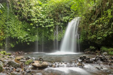 Yeh Ho Şelalesi, Tabanan 'daki pirinç tarlası yüklü Penebel köyünde yer almaktadır. Jatiluwih, Bali, Endonezya 'daki ormandaki güzel şelale deresi.