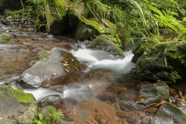 Pequeno Rio Montanha Flui Entre Pedras Áreas Montanhosas Através Floresta — Fotografia de Stock