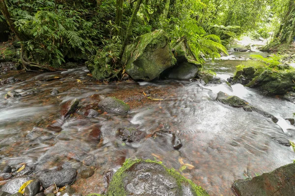 Pequeño Río Montaña Fluye Entre Piedras Áreas Montañosas Través Del — Foto de Stock