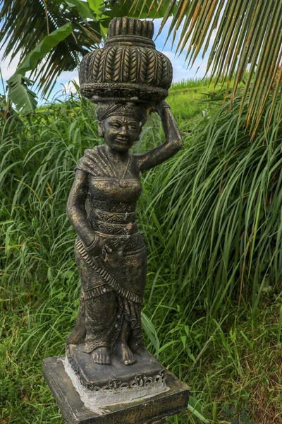 Statue Eines Reisbauern Neben Dem Reisfeld Balinesisches Dorf Jatiluwih Bali — Stockfoto