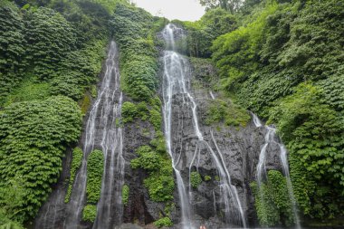 İnanılmaz Banyumala Şelalesi, Bali, Endonezya Doğal Konsepti