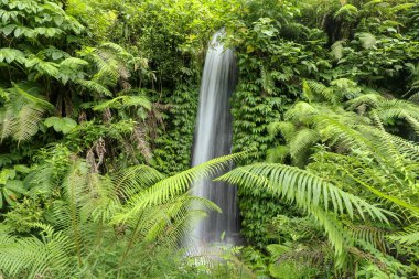 Tropik bir manzara. Gizli kanyonda şelale. Seyahat ve macera konsepti. Su akışı. Yumuşak odaklanma. Yavaş deklanşör hızı, hareket fotoğrafçılığı. Peyzaj arka planı. Bali, Endonezya.