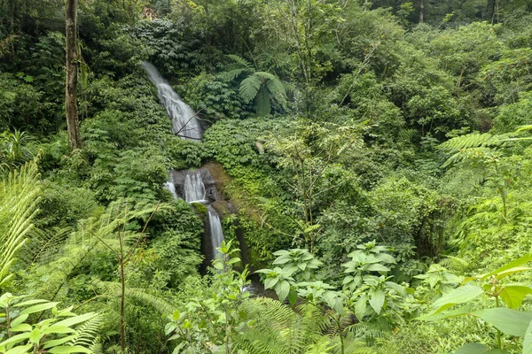 Hermosa Cascada Bosque Lluvioso Montaña Con Agua Flujo Rápido Rocas —  Fotos de Stock