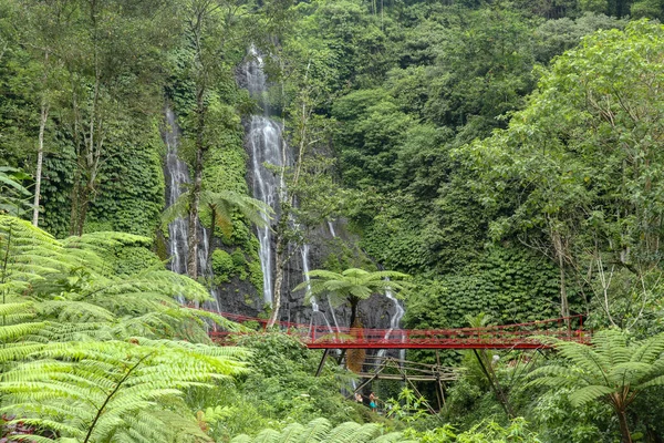 Red bridge over the river near a waterfall in the mountains in the rainforest. Banyumala twin waterfall in mountain slope. Jungle waterfall cascade in tropical jungle with rock.