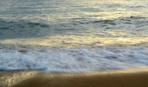 아름다운 과열대해 의부드러운 — 스톡 사진