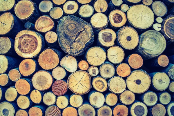 Timber wood  texture  nature  art  background