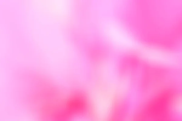 Fundo Abstrato Rosa Suave — Fotografia de Stock