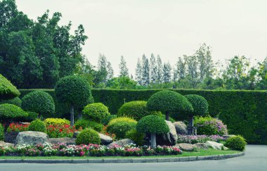 tropikal Bahçe peyzaj tasarımı