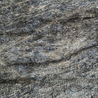 Grunge gri ahşap doku arka plan