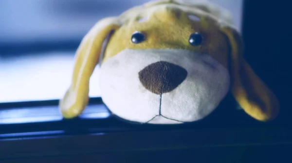 Sevimli köpek bebekle yalnız yüz