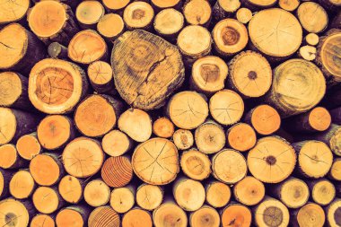 Kahverengi Ahşap ahşap doku doğa sanat arka plan 