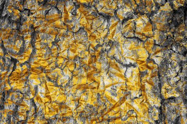 arkaplan için siyah ve altın grunge dokusu