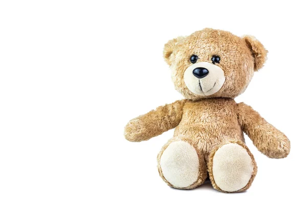 Teddy bear on isolate white background — Stock Photo, Image