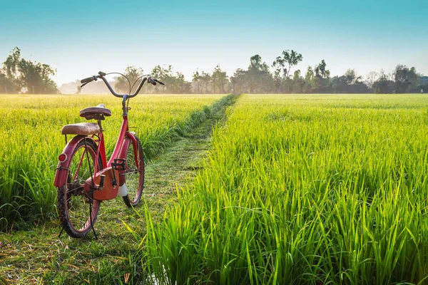 Red bicycle with rural view background