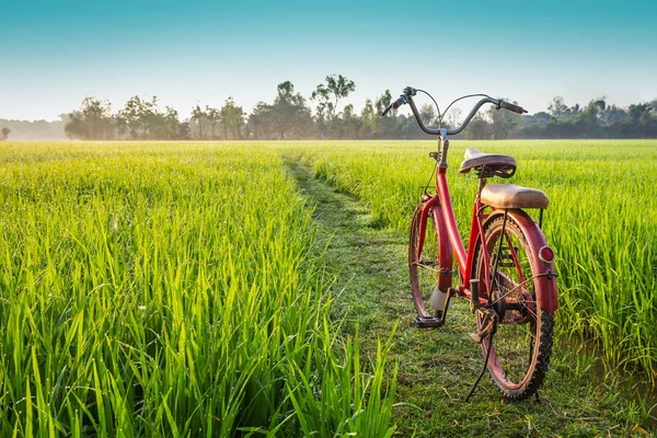Czerwony rower z tło widok wiejski — Zdjęcie stockowe