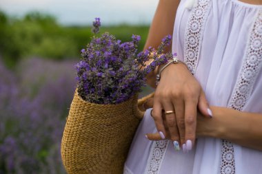 Bir sepet dolusu lavanta içeren yatay yakın plan fotoğraf. 
