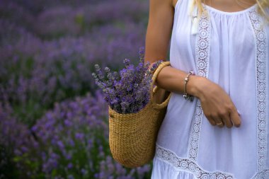 Bir sepet dolusu lavanta içeren yatay fotoğraf.