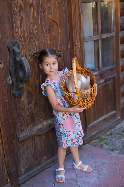 Foto vertical de una niña de seis años con un conejo en una cesta —  Fotos de Stock