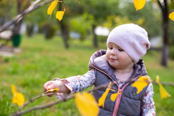 Bir ağacın yapraklarını koparan küçük bir kızın yatay fotoğrafı. — Stok fotoğraf