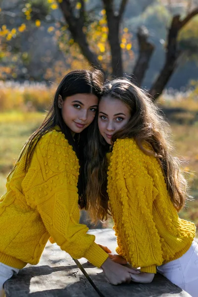 Foto vertical de duas namoradas em belos blusas de malha — Fotografia de Stock
