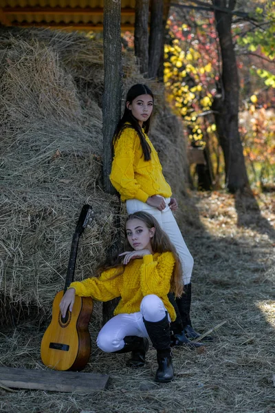 Vertical portrait of two young girls with a guitar on a backgrou — Stockfoto