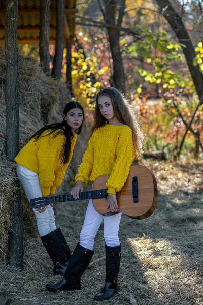 Foto vertical de duas meninas com uma guitarra em um fundo de feno — Fotografia de Stock