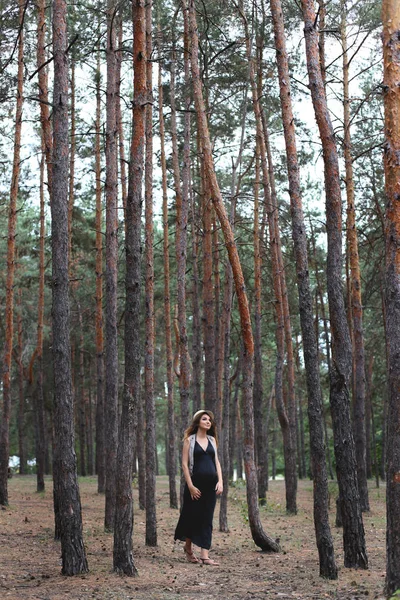 Těhotná Žena Procházku Venku Jehličnatém Lese — Stock fotografie