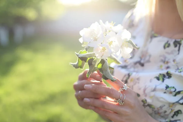 Mãos Femininas Segurando Galho Árvore Maçã Florescente Fundo Grama Verde — Fotografia de Stock