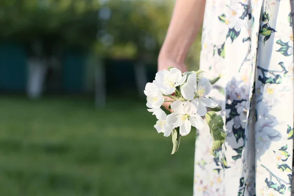 Mulher Belo Vestido Floral Mantém Flores Maçã Contra Jardim Verde — Fotografia de Stock