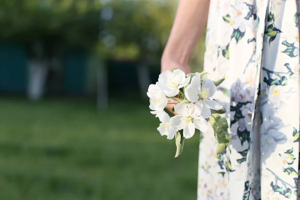 穿着漂亮花衣的女人把苹果花抱在绿色的花园里 — 图库照片