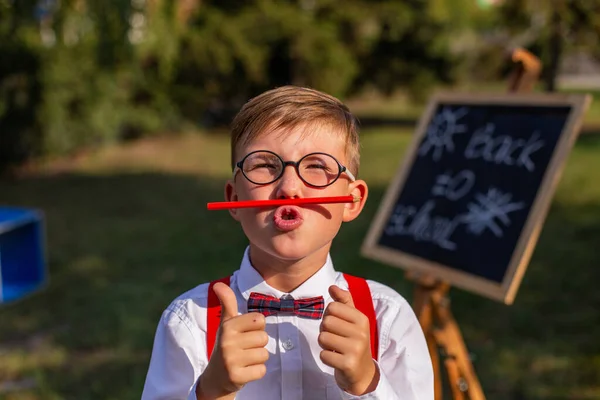 6歳の少年は自然を背景に鼻の下に赤い鉛筆を持っています — ストック写真