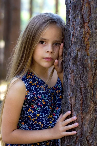 Ganska Långhårig Flicka Sommar Ljus Klänning Står Skogen Nära Trädet — Stockfoto