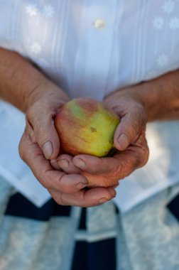 Elma tutan yaşlı bir kadın.