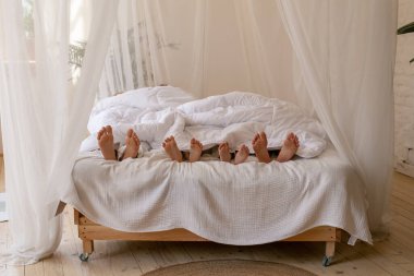 the whole family mom dad and children lie under the covers on the parent's bed and only legs stick out clipart