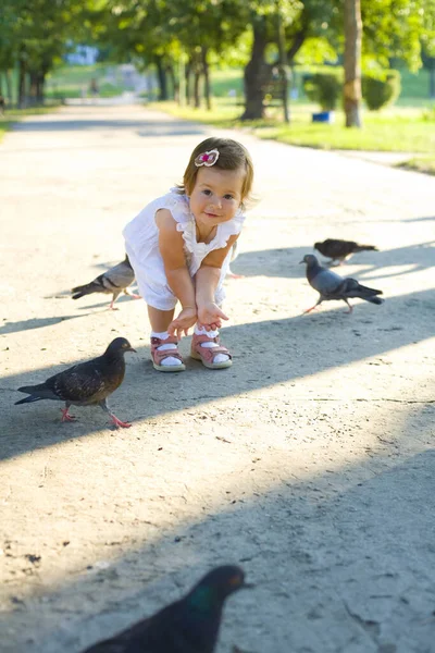 面白い1歳の赤ちゃんが夏の公園のトラックでハトを捕まえようとすると — ストック写真