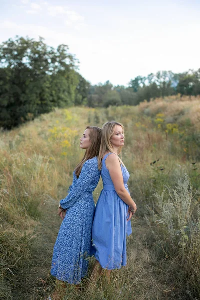 Duas Irmãs Adultas Cabelos Compridos Bonitos Vestidos Verão Estão Costas — Fotografia de Stock