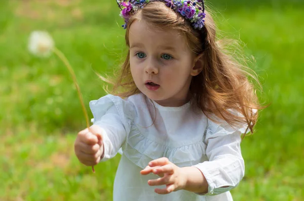 夏天的公园里 一个长着卷发的可爱的小女孩站在鲜绿的草地上 手里拿着蒲公英 — 图库照片