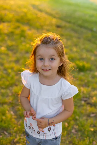 漂亮的三岁小女孩站在公园的草地上 看着摄像机 — 图库照片
