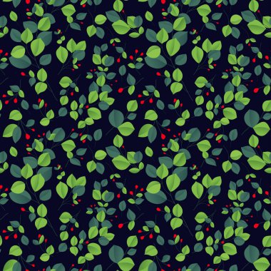 Okaliptüs gümüş dolarlık brunch. Güzel dekoratif sakız ağacı doğal yapraklar..