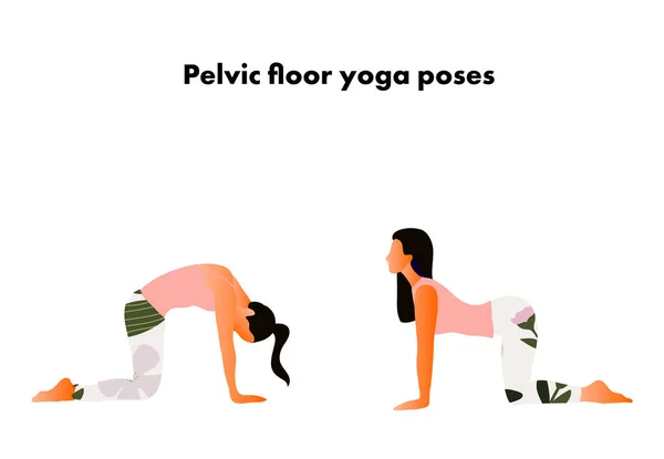 Beckenboden-Yoga-Posen. Frauengesundheit. Yoga-Asanas. Katze und Kuh posieren. — Stockvektor