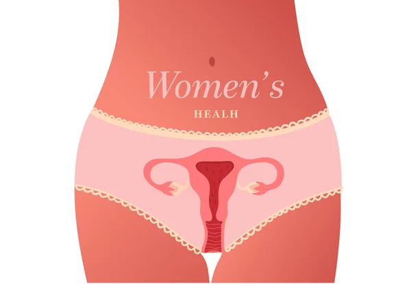 Sistema reprodutor feminino. Tipo de saúde das mulheres. Ilustração vetorial — Vetor de Stock