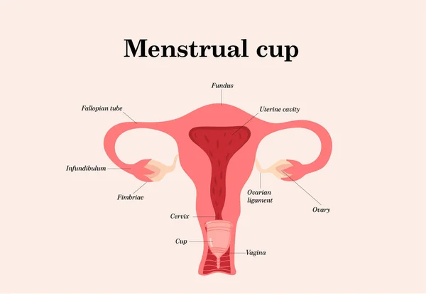 Menstruationstasse Logo, feminine Periode Hygieneprodukt. — Stockvektor