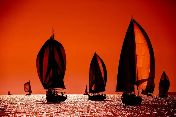 Yacht silhouette in the high sea on sunset — 스톡 사진