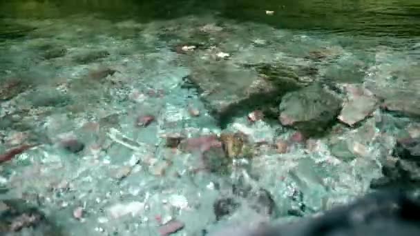 Río frío de montaña fluye entre piedras. río turquesa frío y claro  . — Vídeo de stock