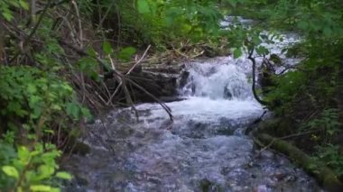 Soğuk dağ nehri taşların arasında akar. Soğuk ve berrak, turkuaz nehir. .