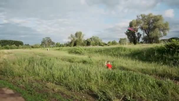 Ein kleiner Junge rennt mit einem Drachen über das Feld. ein Kind genießt einen Spaziergang in der Natur — Stockvideo